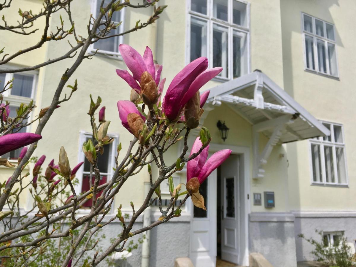 Landhaus Blauer Spatz Reichenau An Der Rax Exteriör bild